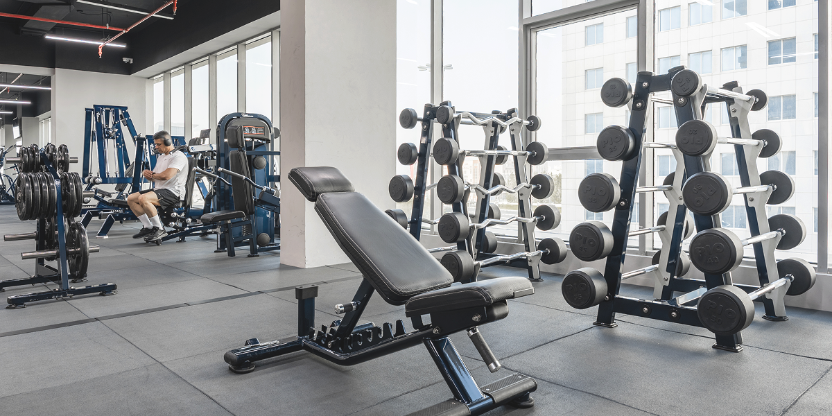 Gym equipment - Free weights section